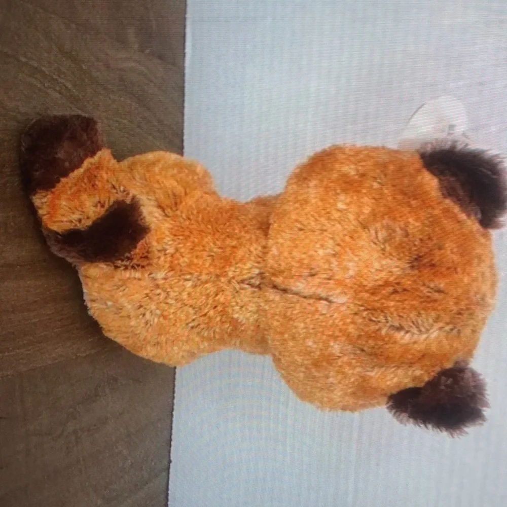 Ty beanie Boo Rusty Racoon - Picture 3 of 5